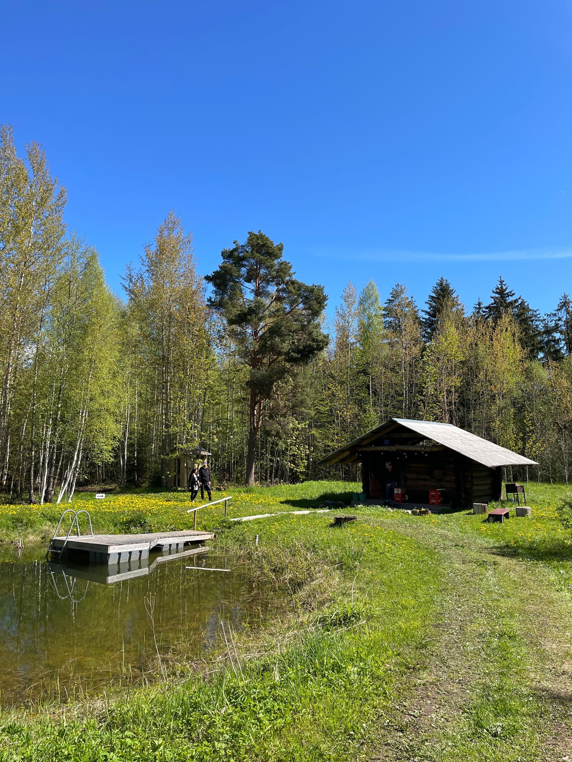 Jantsun tila