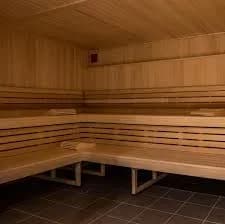 Best Saunas in France