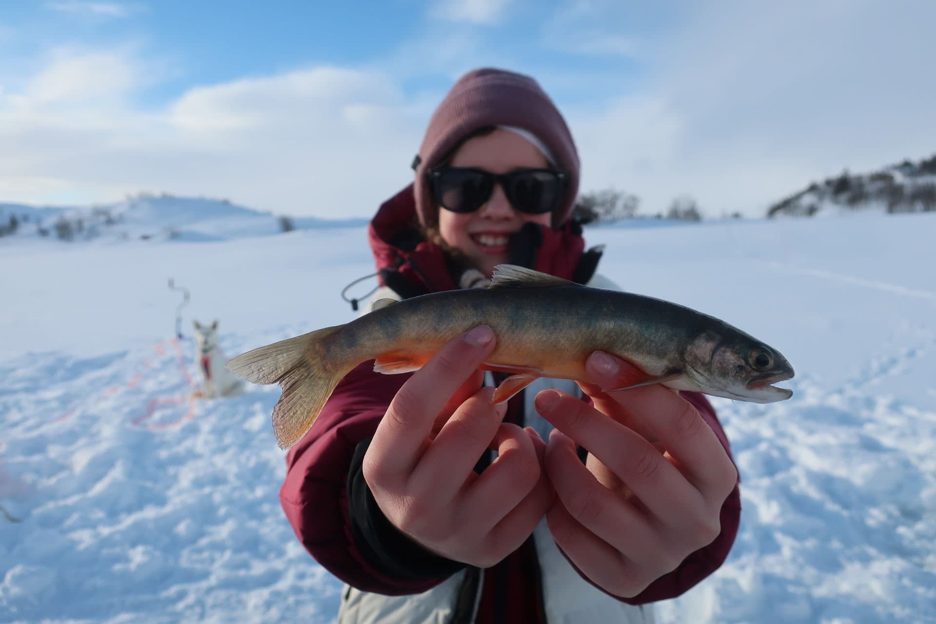 Aktiviteter med Vinternatt - badstue, isbading, isfiske - Image