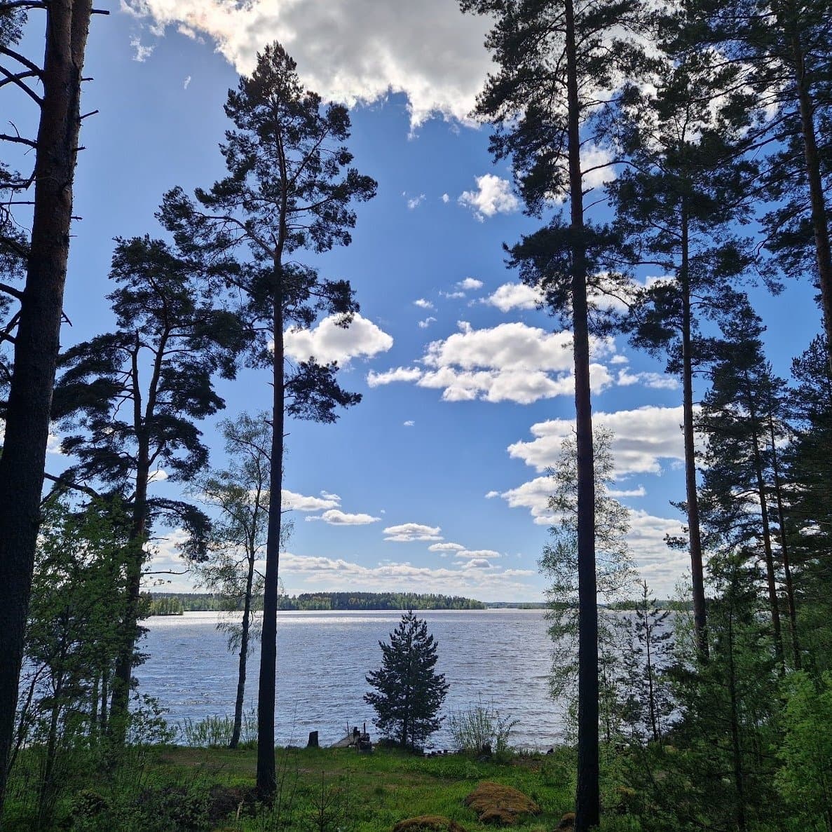 Lempee Sauna Oy - Image