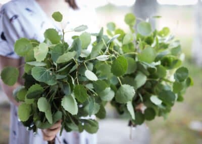Kuu yrttitarhassa - Image
