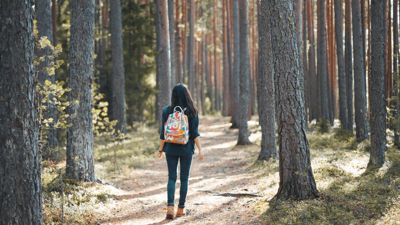 Visit Jyväskylä Region - Image