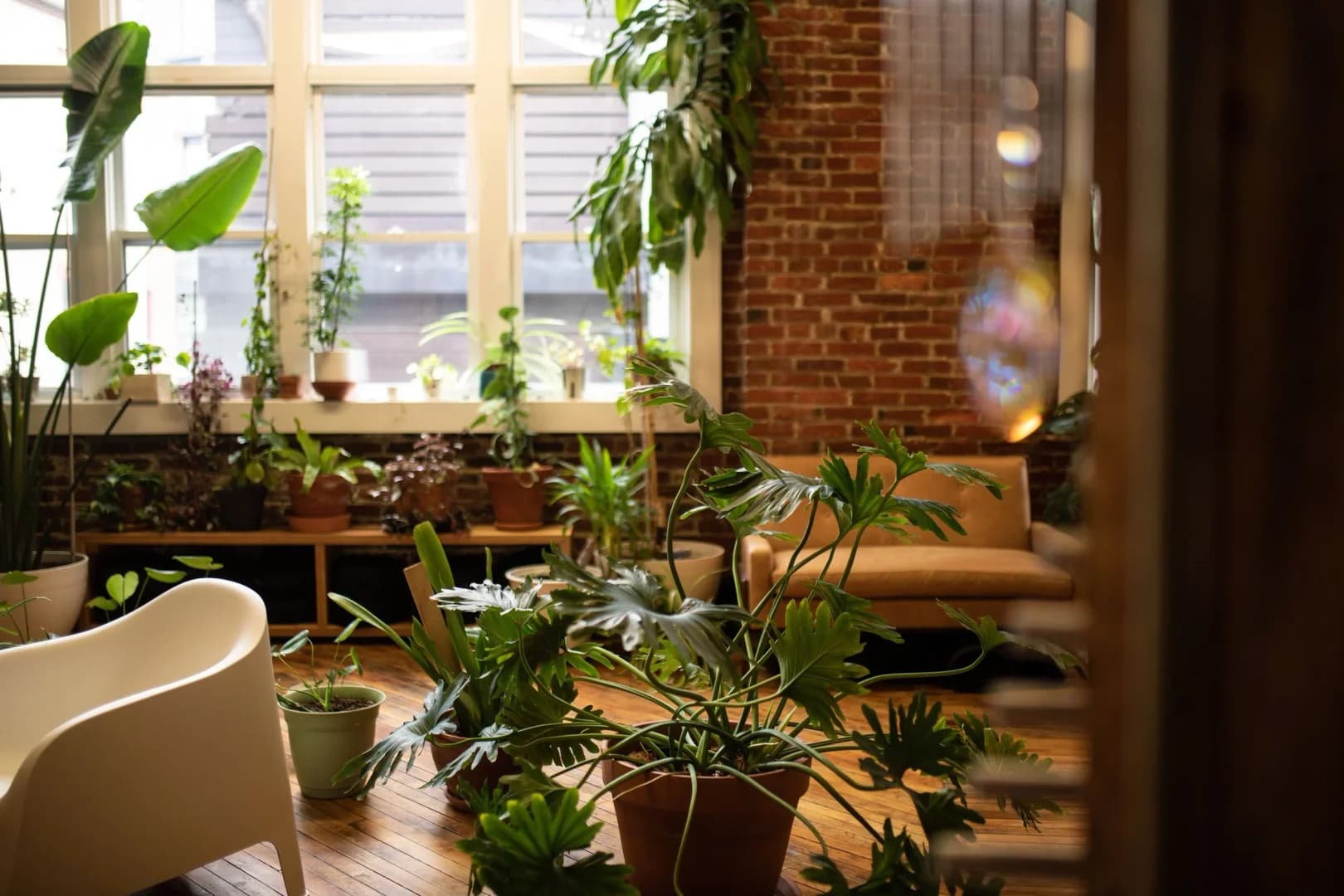 FORMATION sauna + wellness