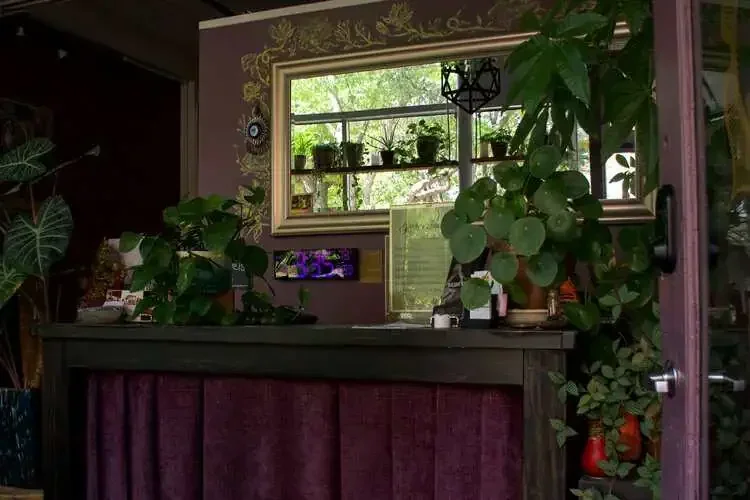 Garden Sauna - Image