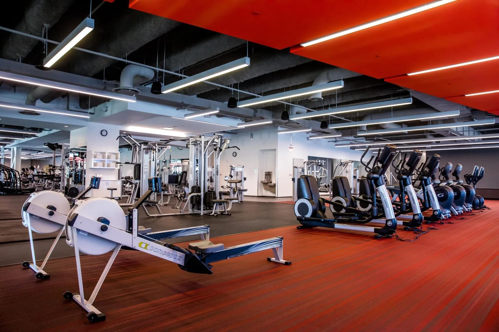 NB Fitness Club - Image